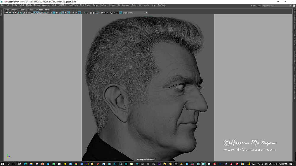 Mel Gibson_WIP06-www.h-mortazavi.com