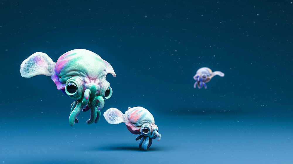 aBabysquid03