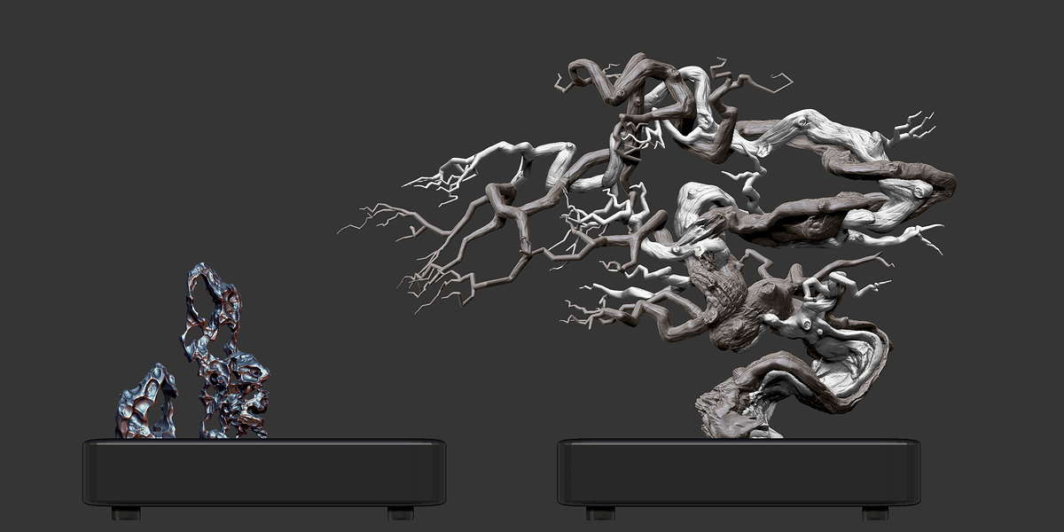 bonsai1