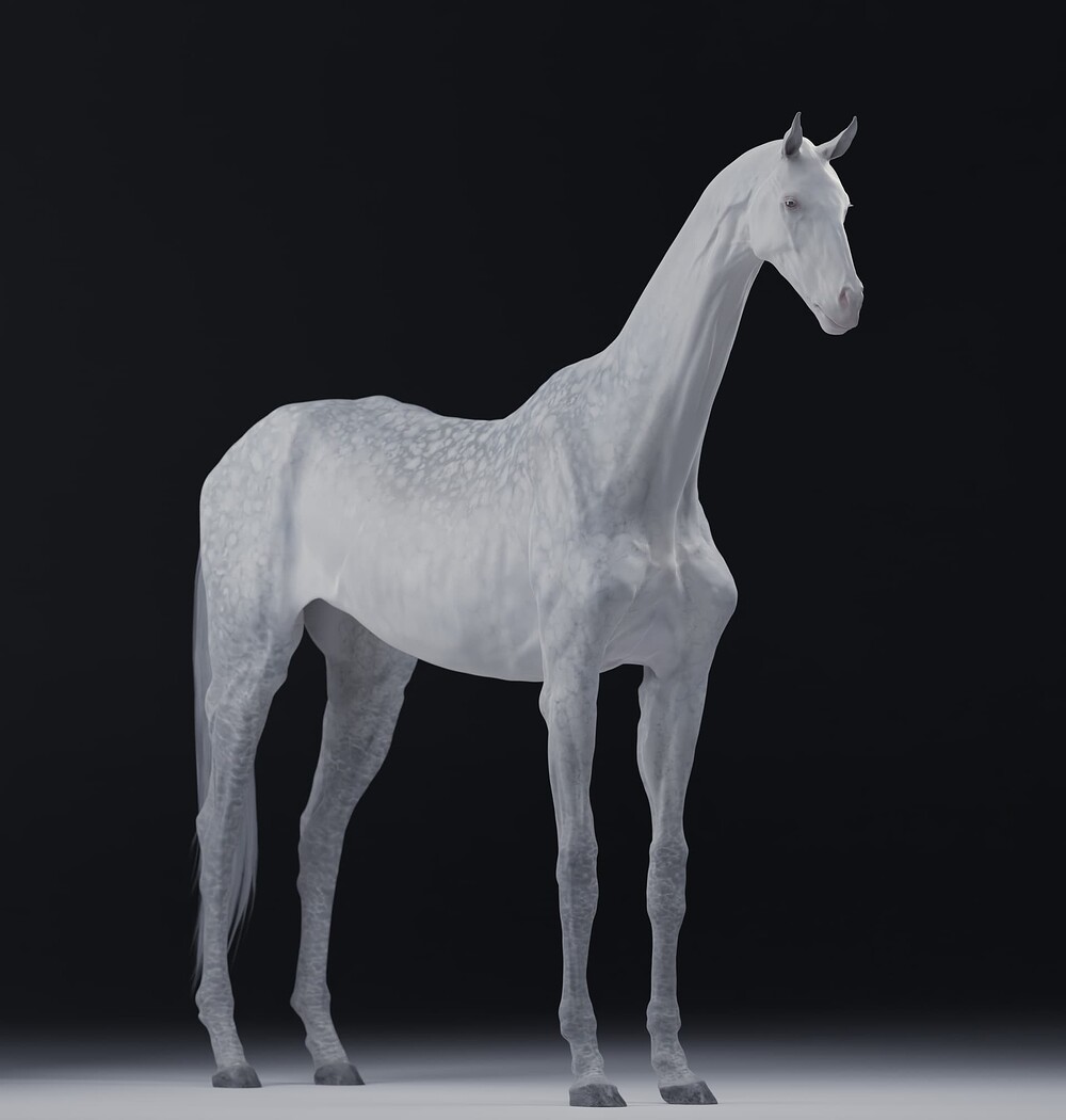 02_Horse