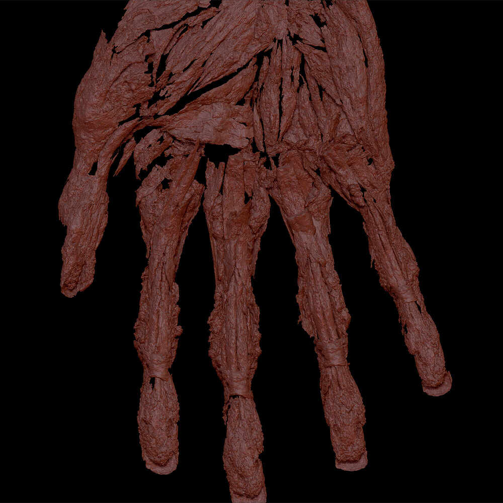 ZBrush-Document8665