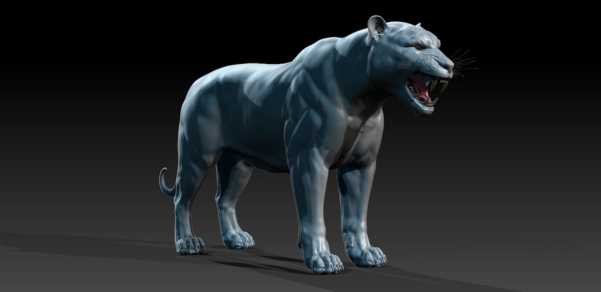 Tiger20