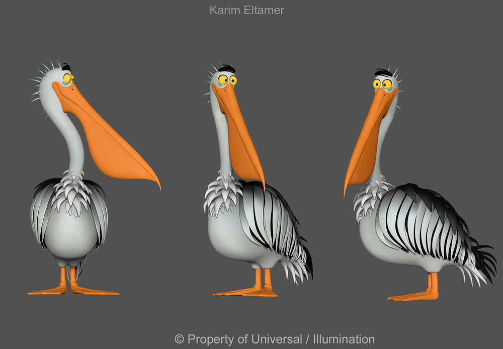 pelican