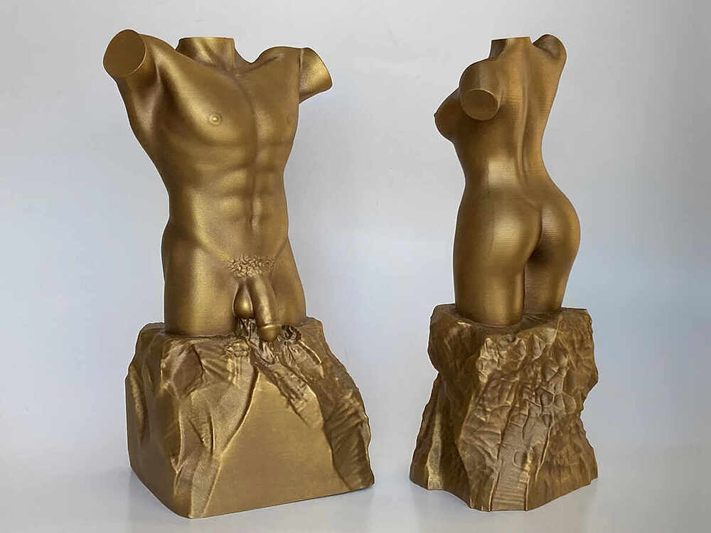 Male & Female Torso Sculptures - Bronze 4