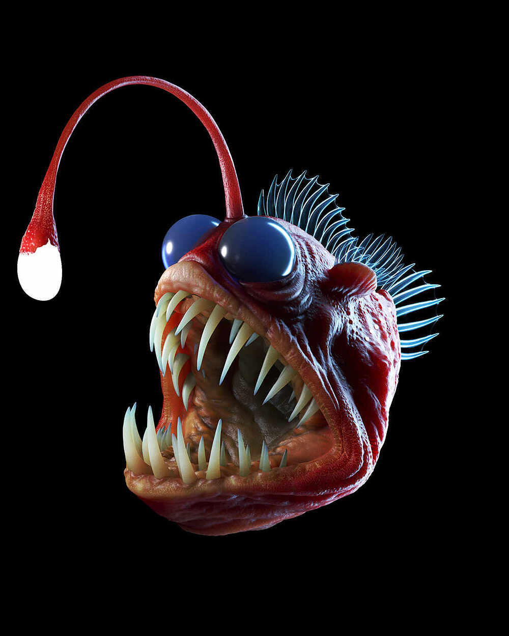 angler fish zbrush