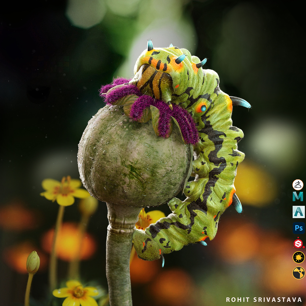 Caterpillar_Feastin