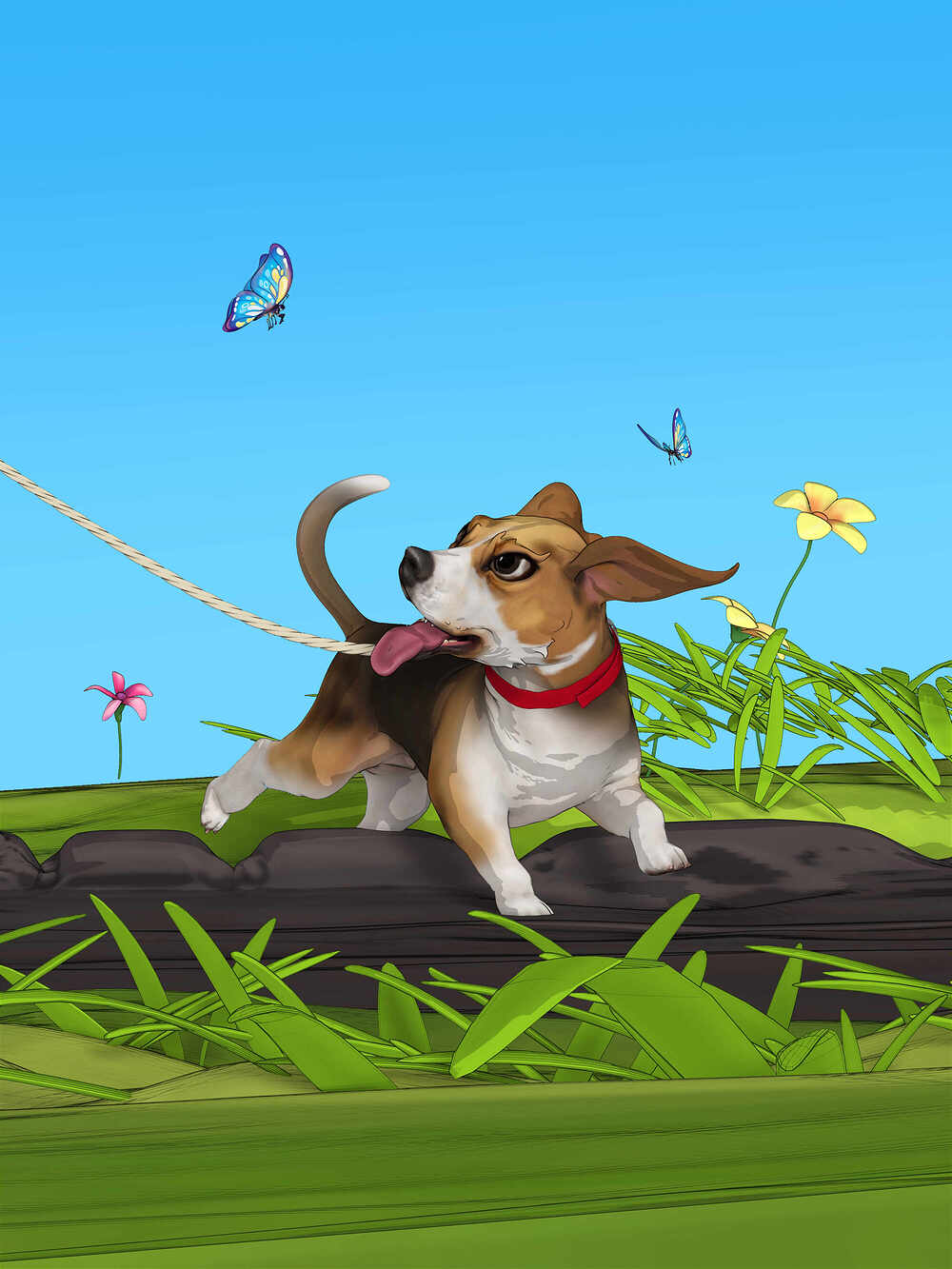 4.dog