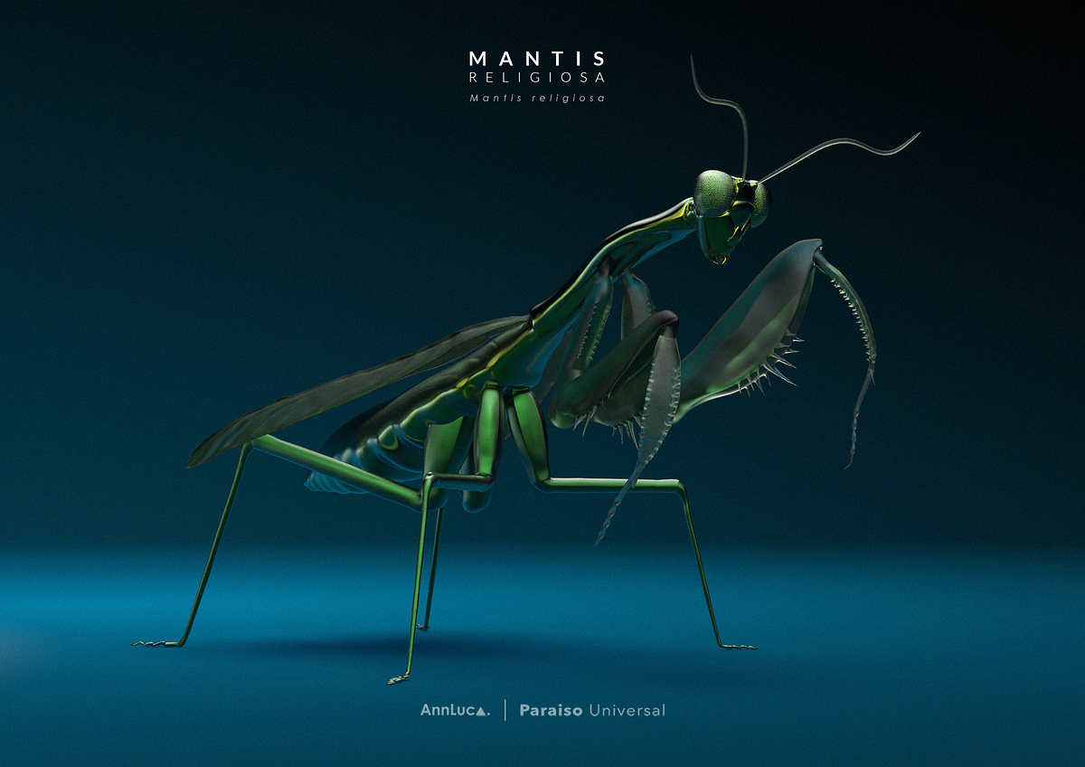 mantis1