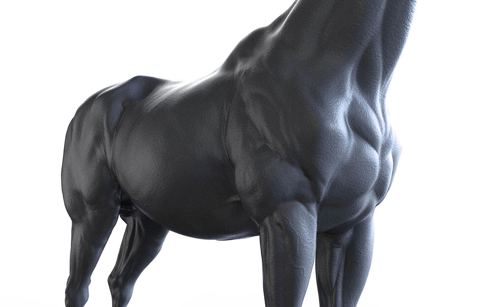Horse_9