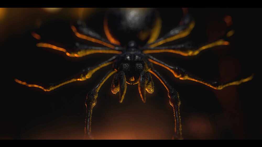 Rakan_Khamash_spider_03