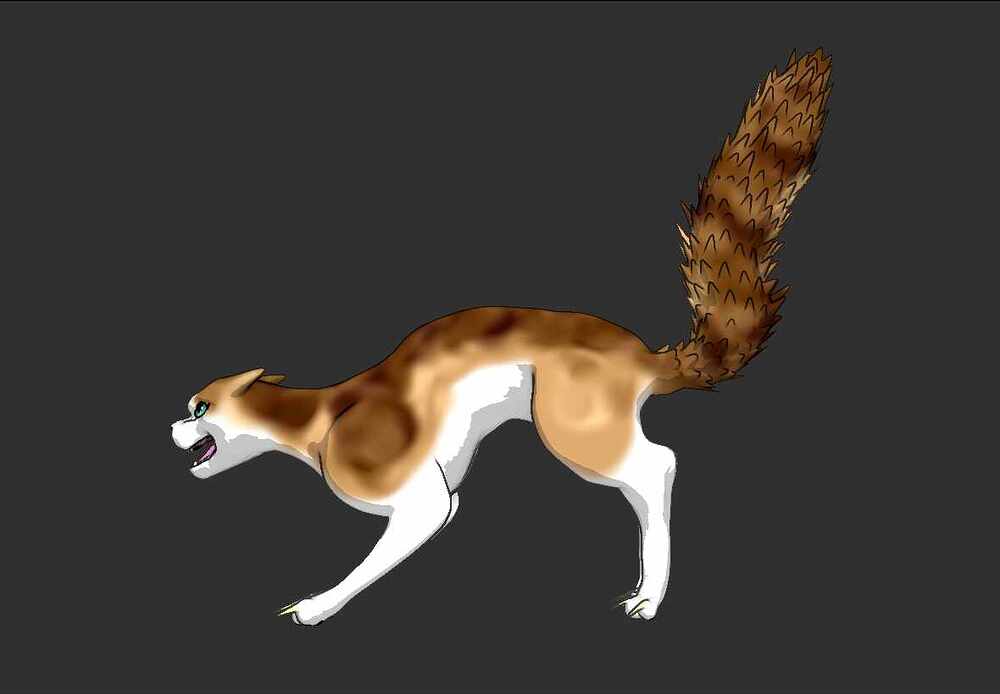 Cat 4