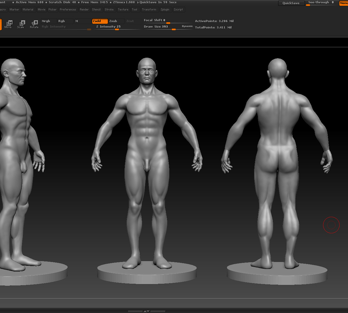 Anatomy Studies.JPG