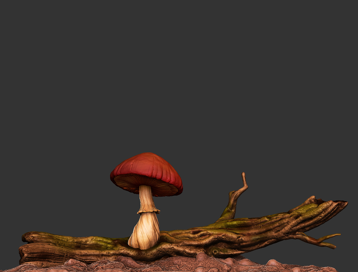 mushroom_1010