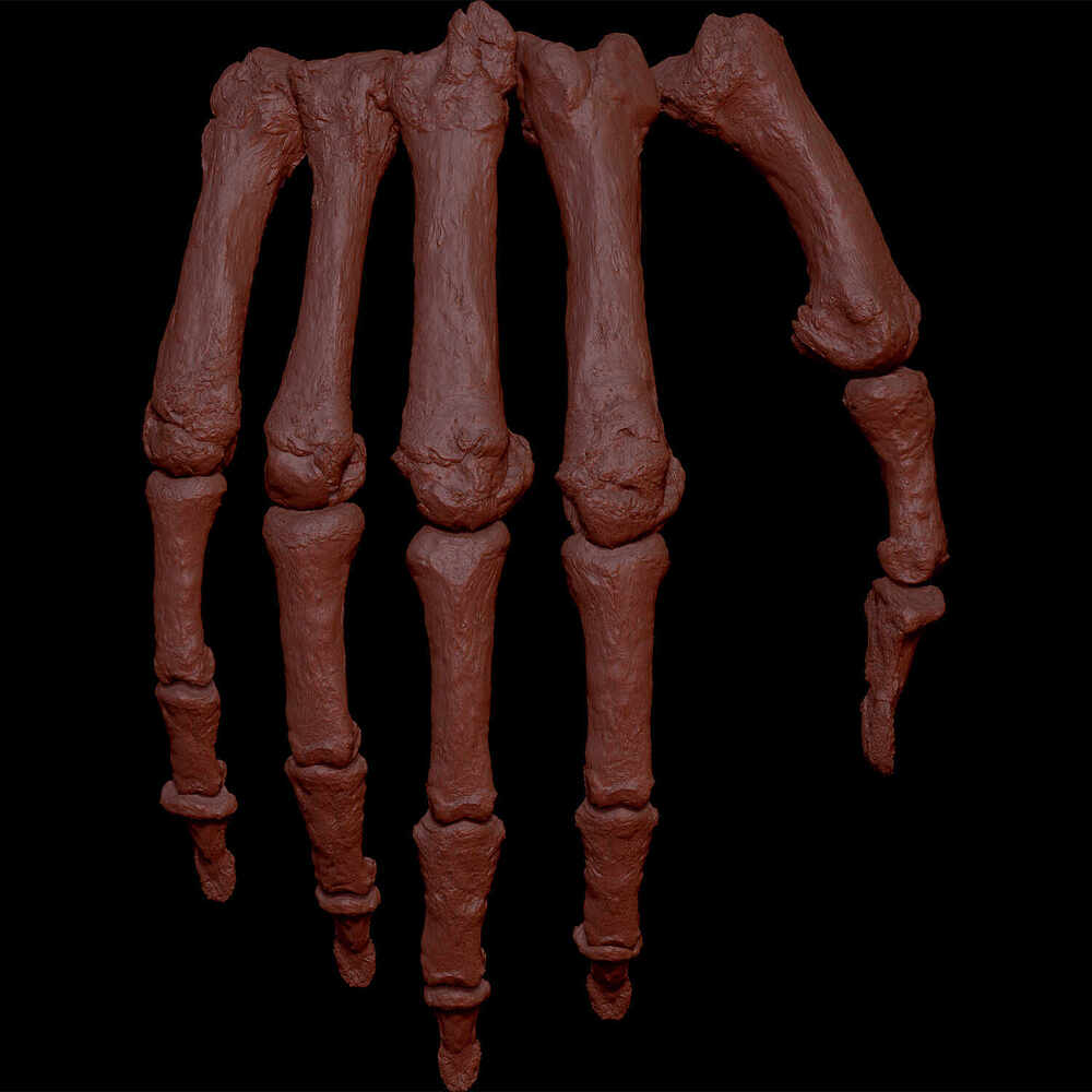 ZBrush-Document8211