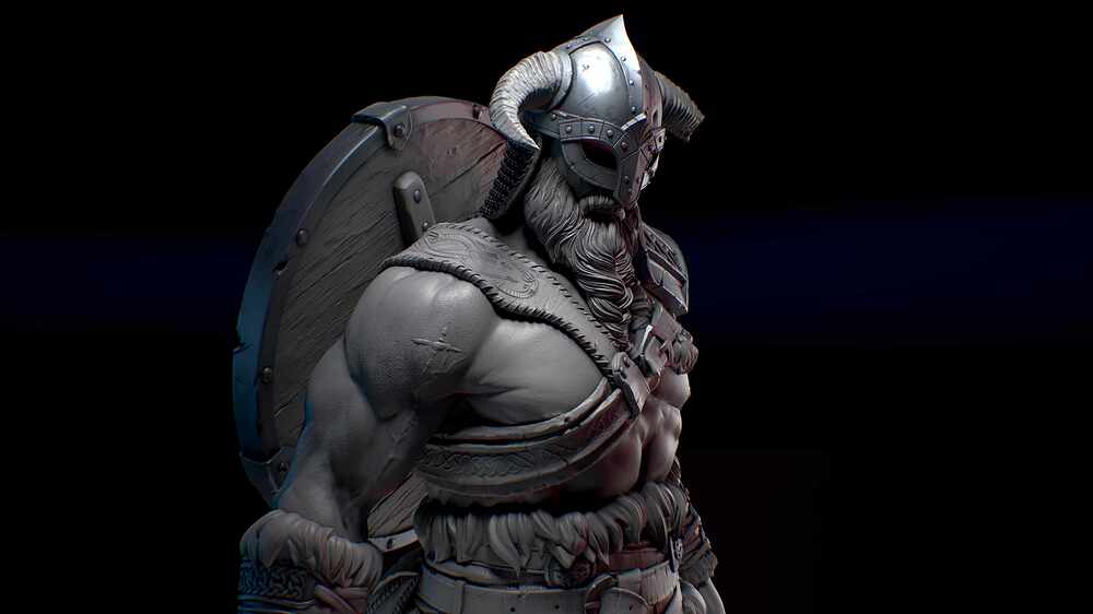 Viking_Camera_2_012
