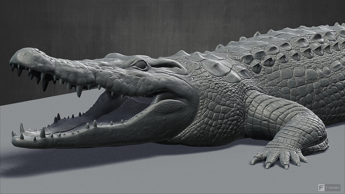 render_closeup2