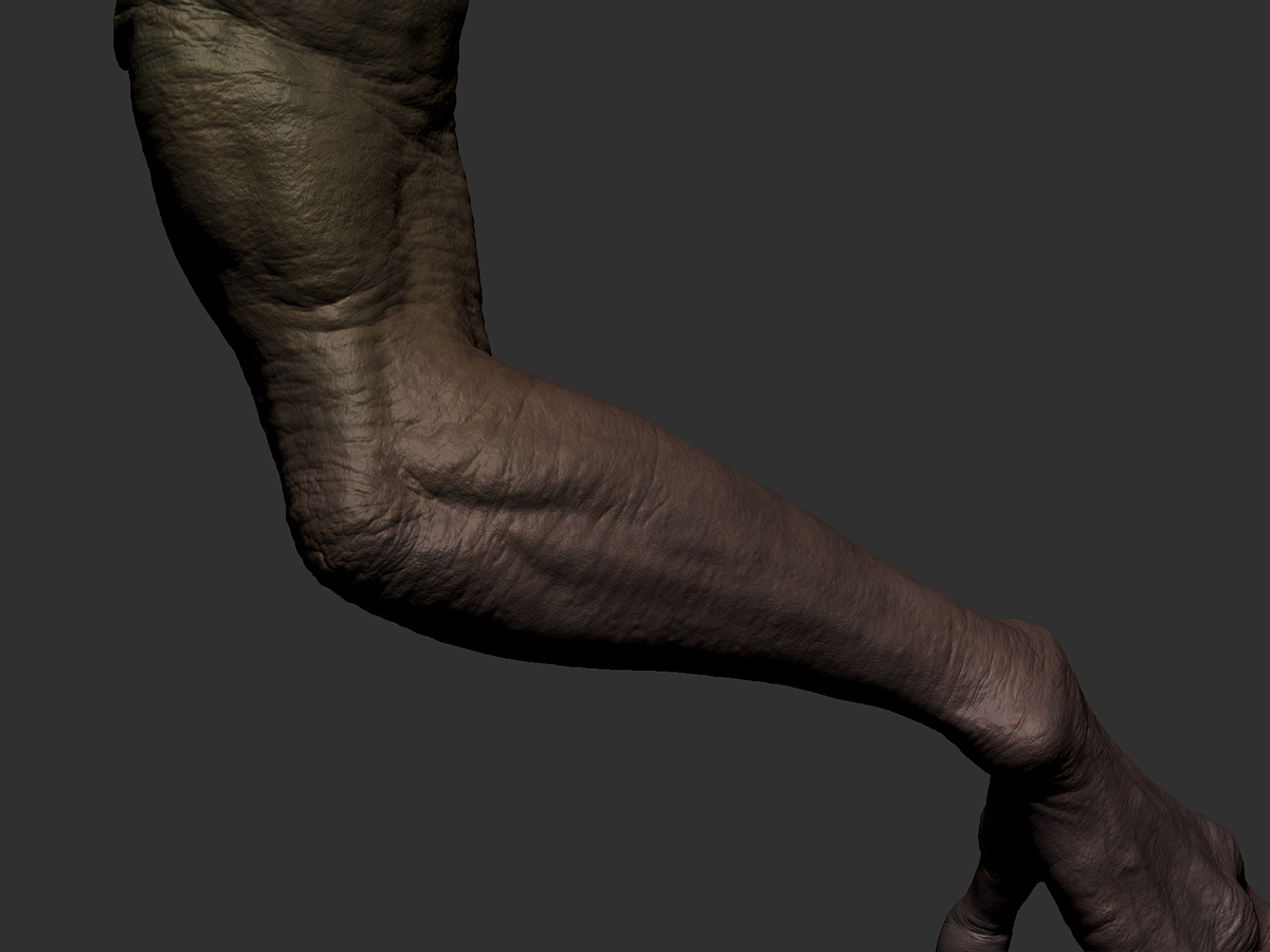 ZBrushViewportArm02