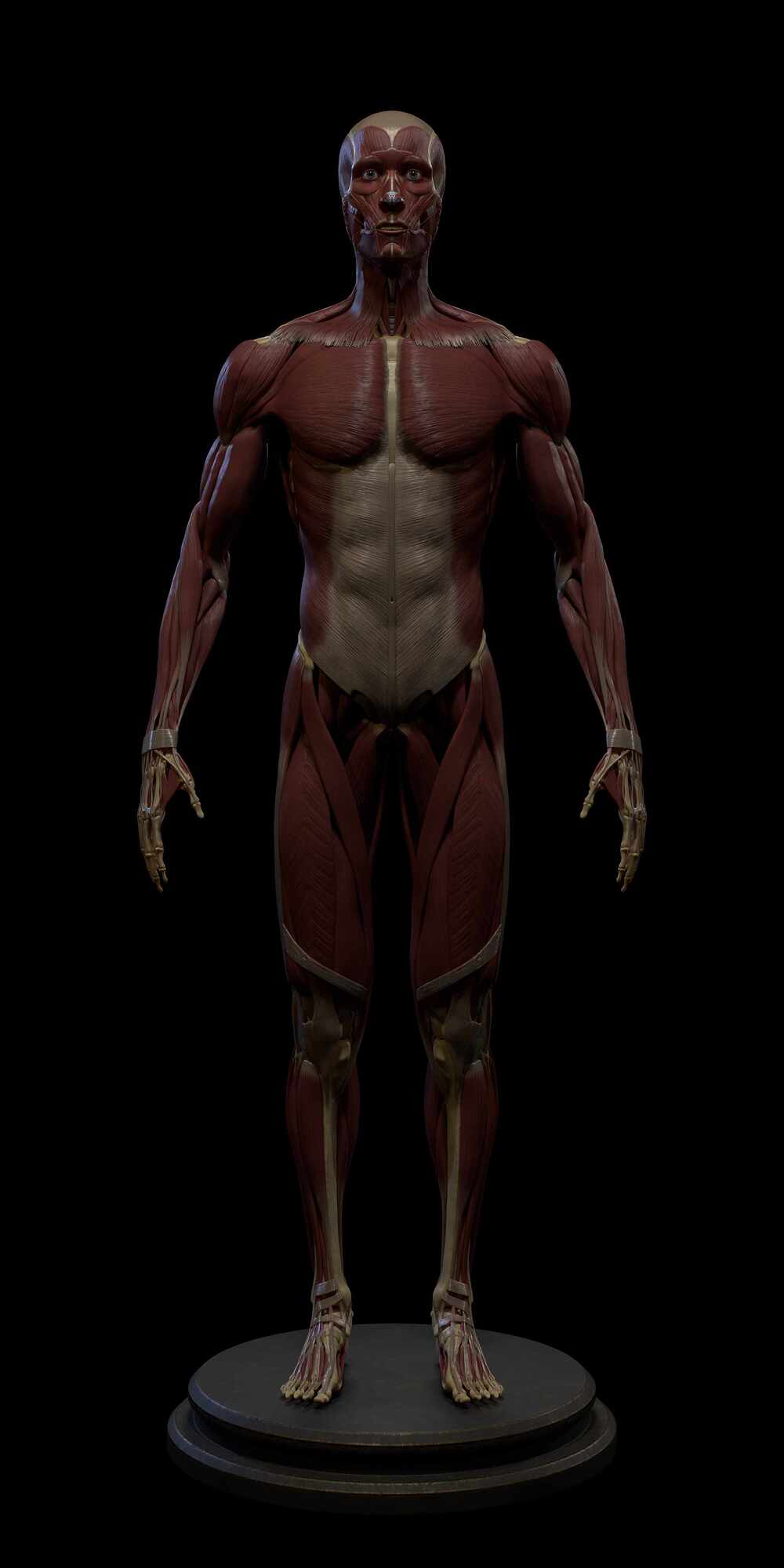 Base_Front