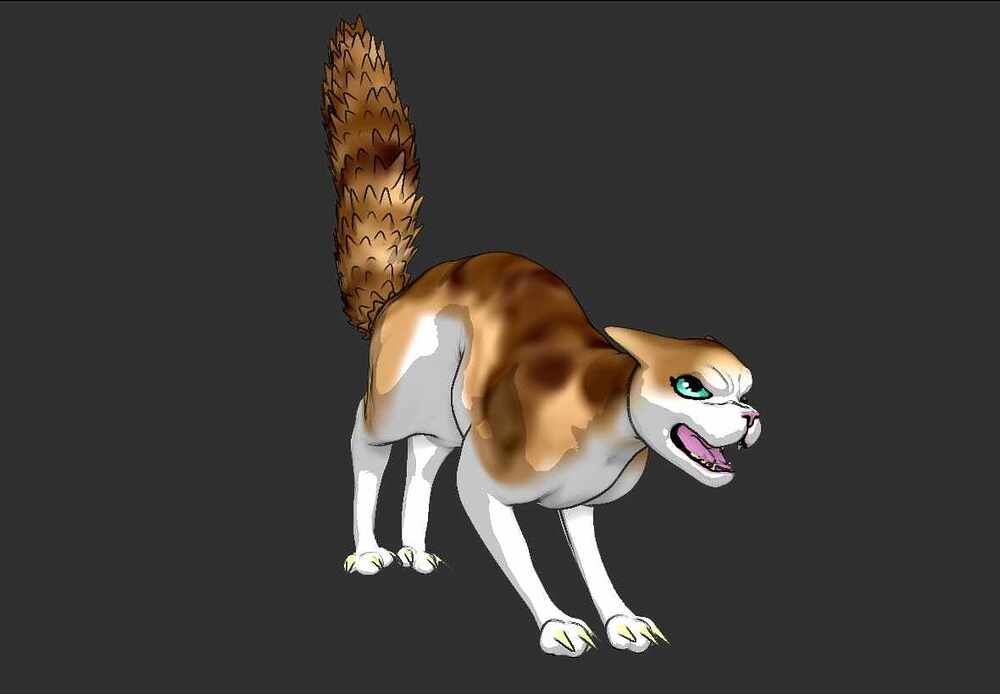 Cat 2
