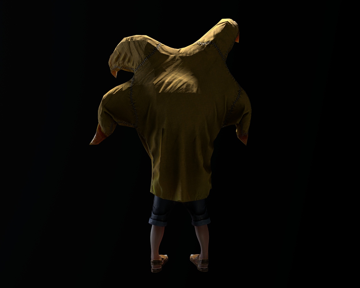 CP005_Viewport