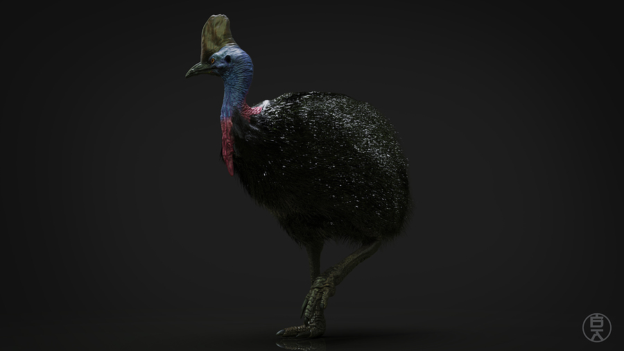 Cassowary 2