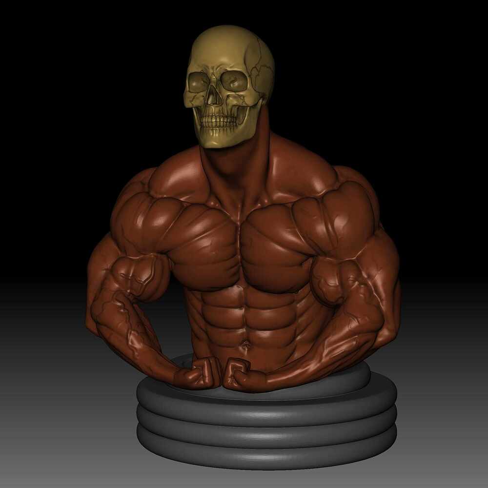 Body 32