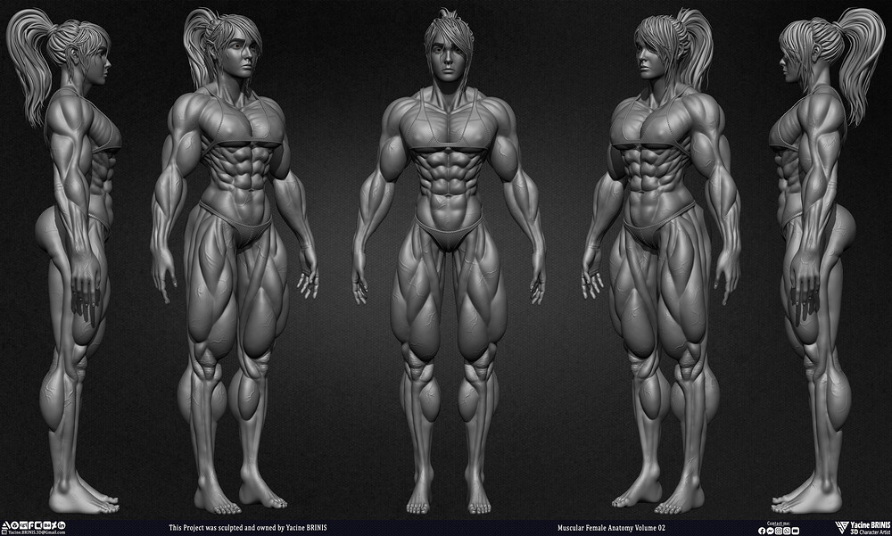 Muscular Female anatomy Volume 02 sculpted by Yacine BRINIS 001