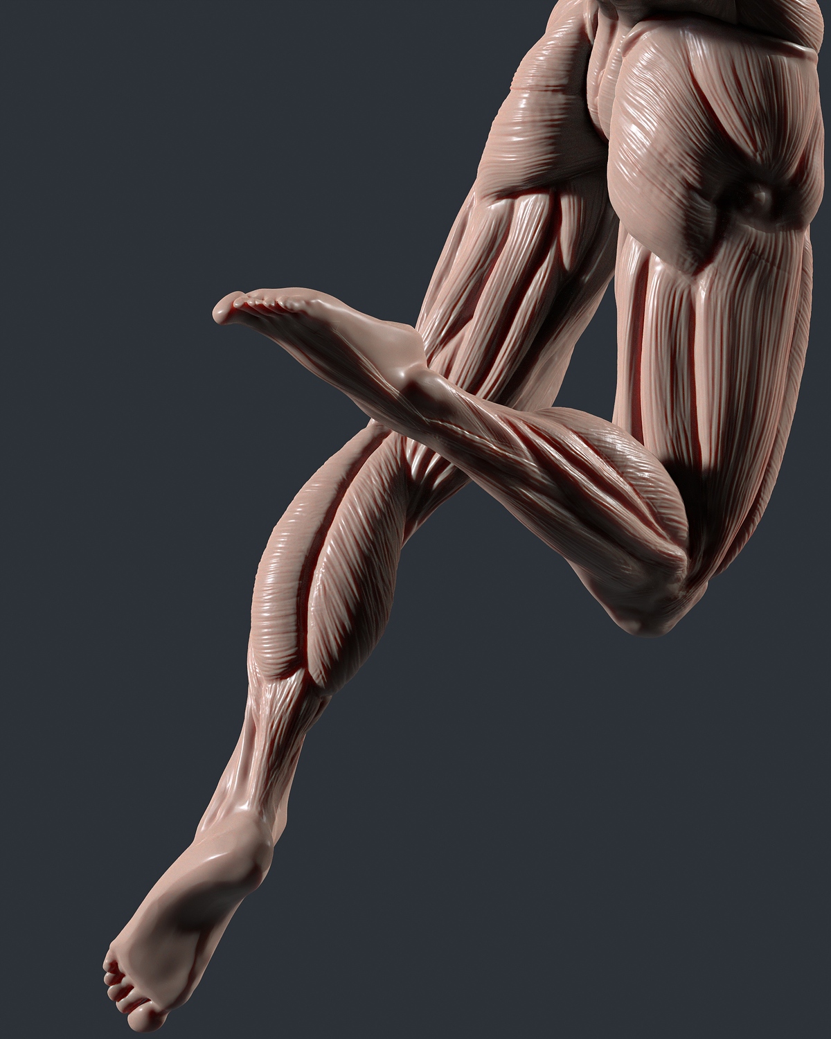 tbrender_Viewport_019