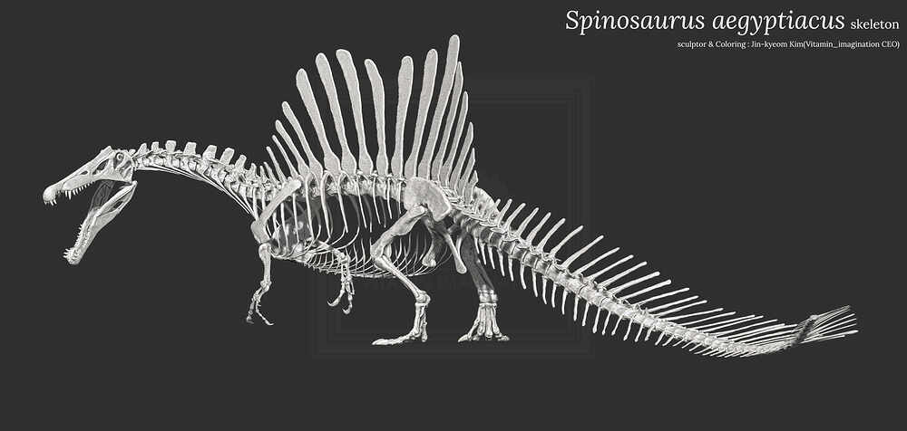 ZBrush Document1