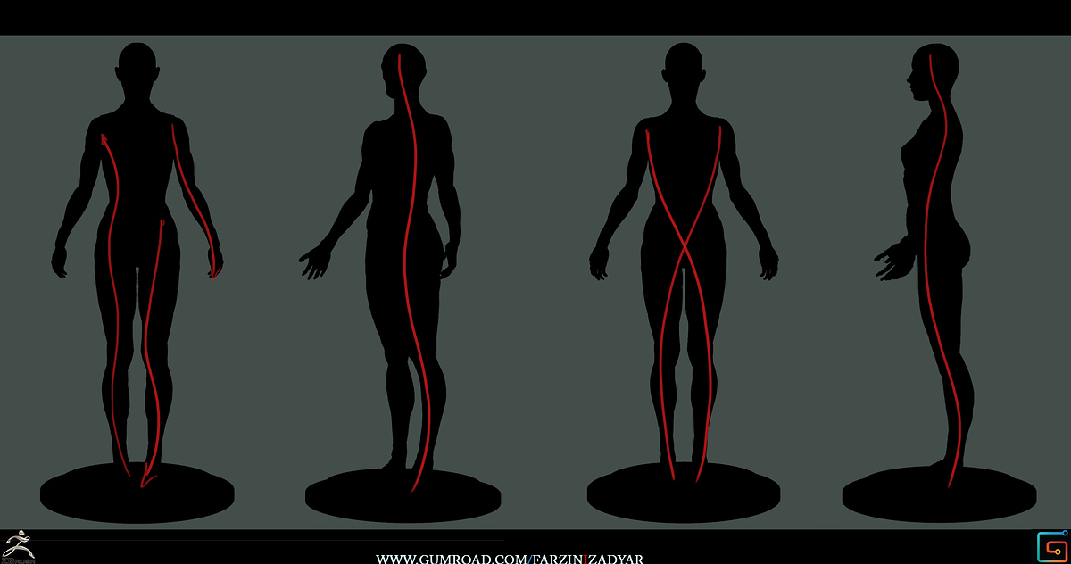 Female_Anatomy_Kit_Gesture