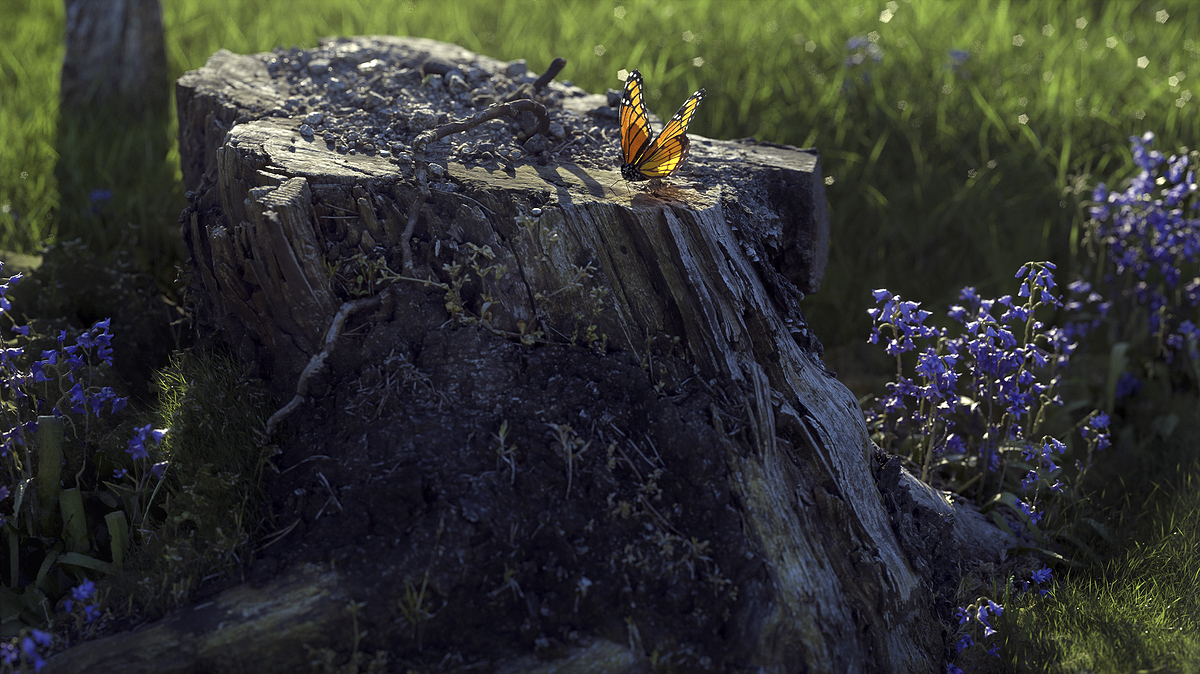 beauty1_v002_Reduce