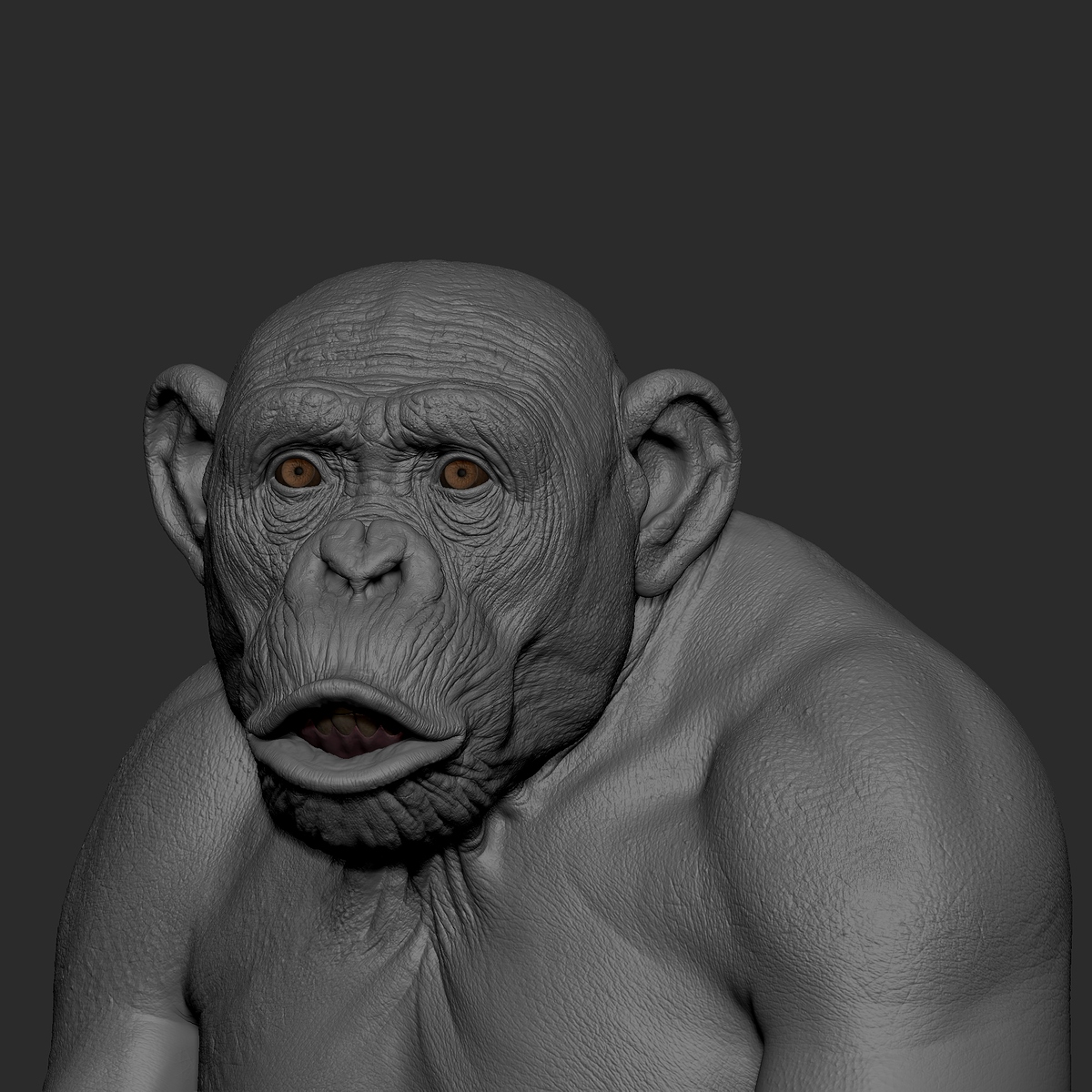 ZBrush_1002