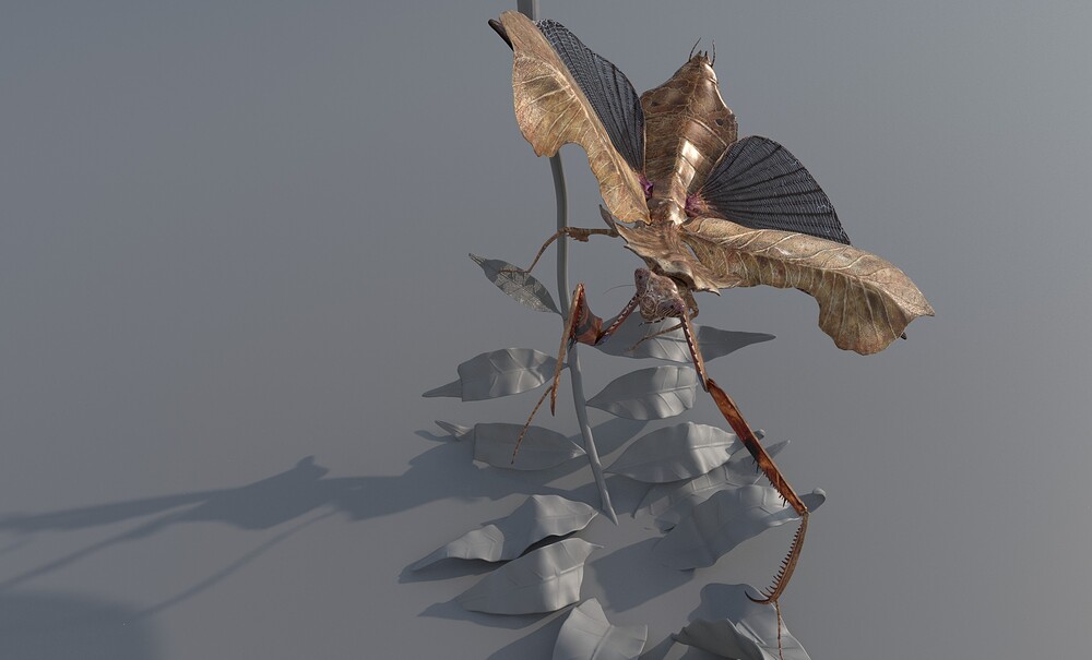 WIP_003