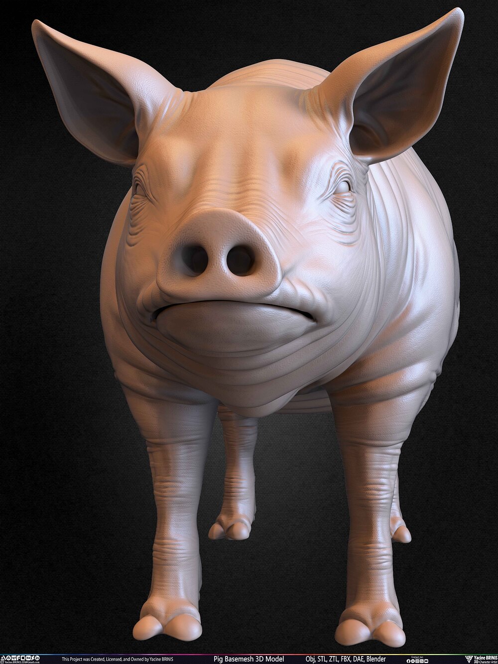 Pig Basemesh 3D Model Animal Anatomy Sculpted by Yacine BRINIS Set 035