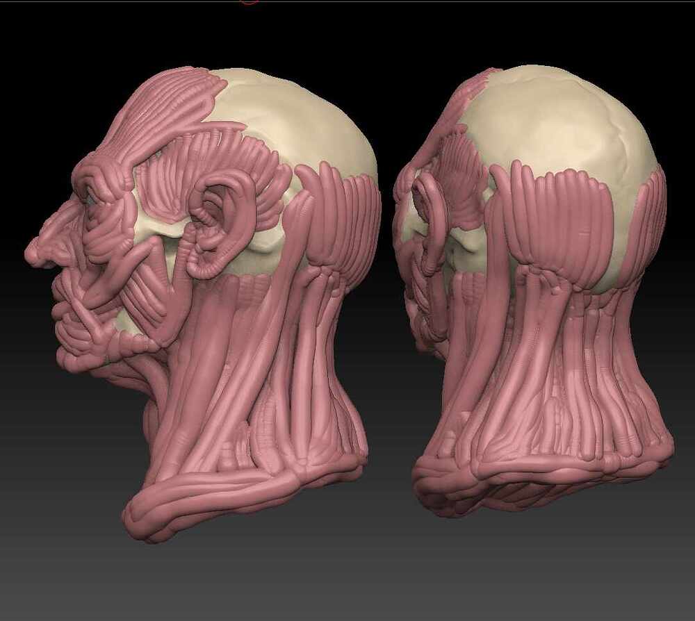 ZBrush ScreenGrab07