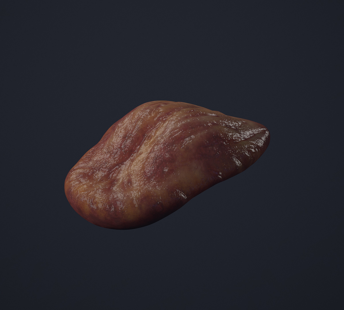 Tongue01.jpg
