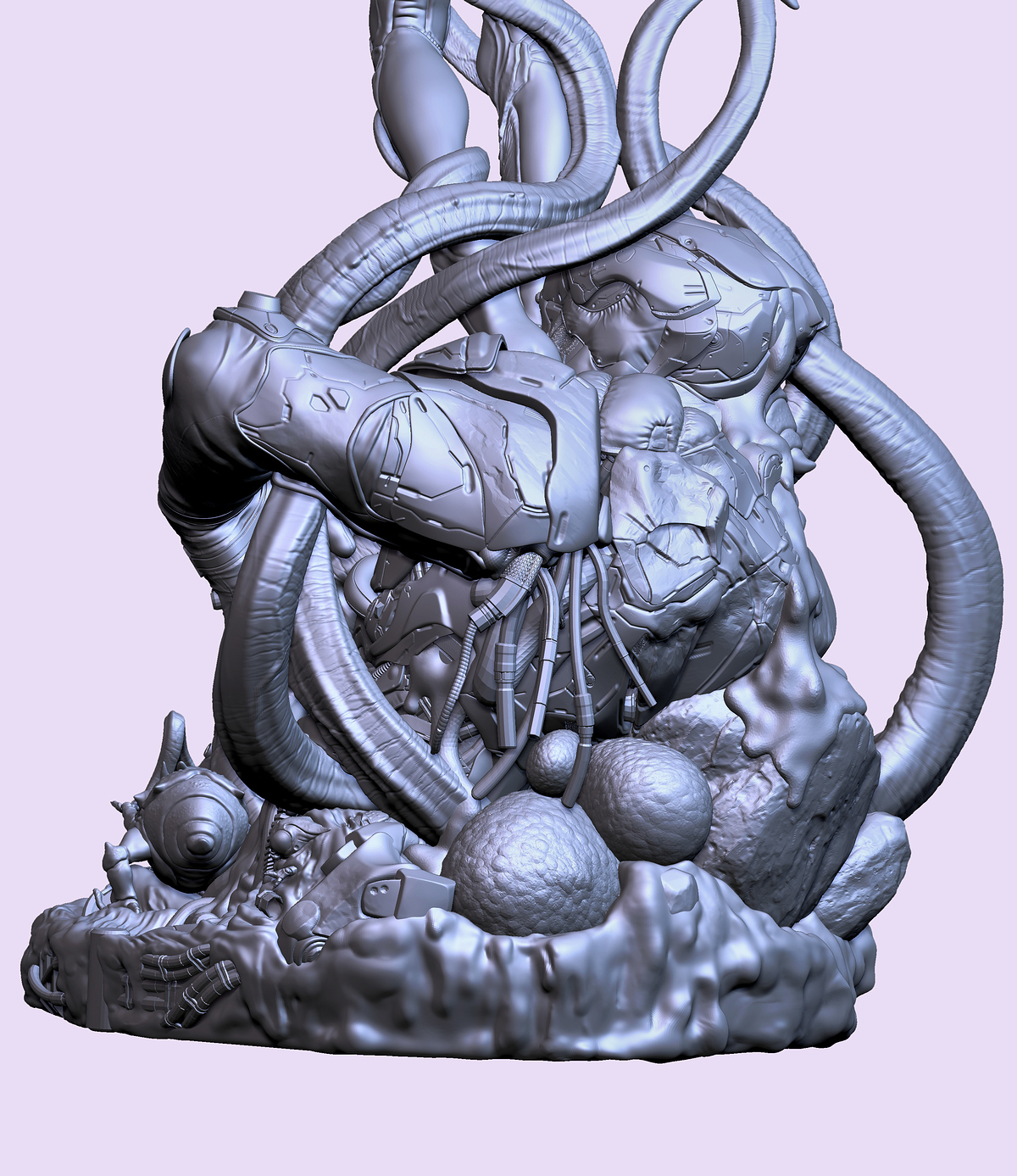 d11