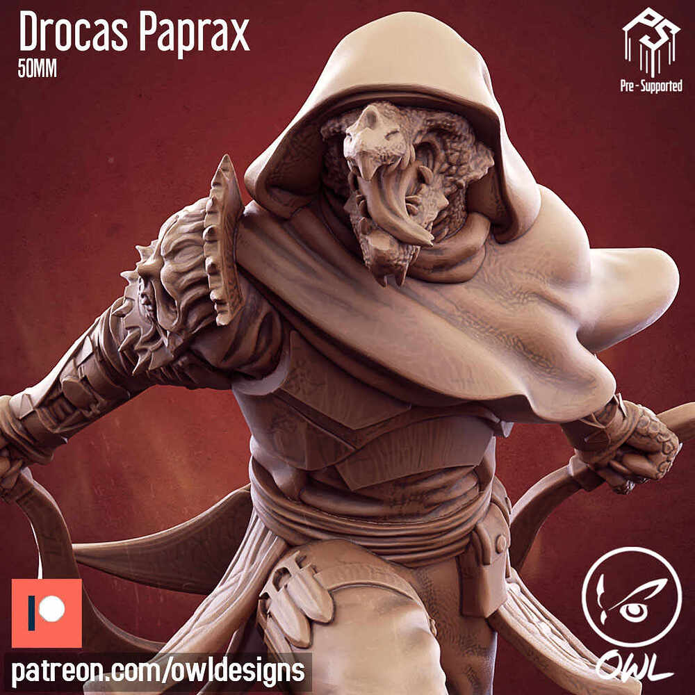 Owl_Drocas_Paprax_50mm_07