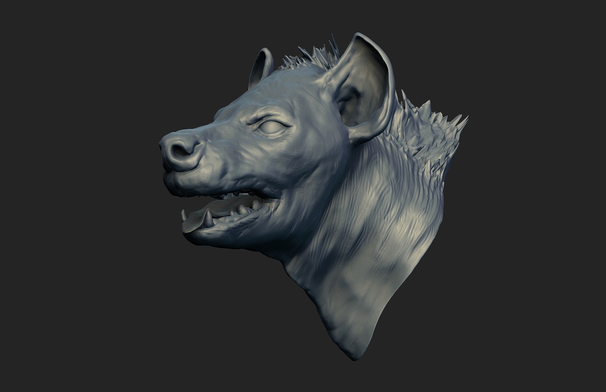 hyena_bust_D