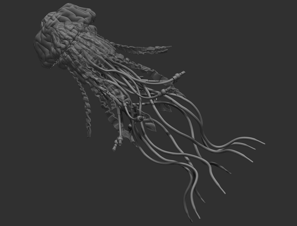 scott-shepherd-oceanix-jelly-1