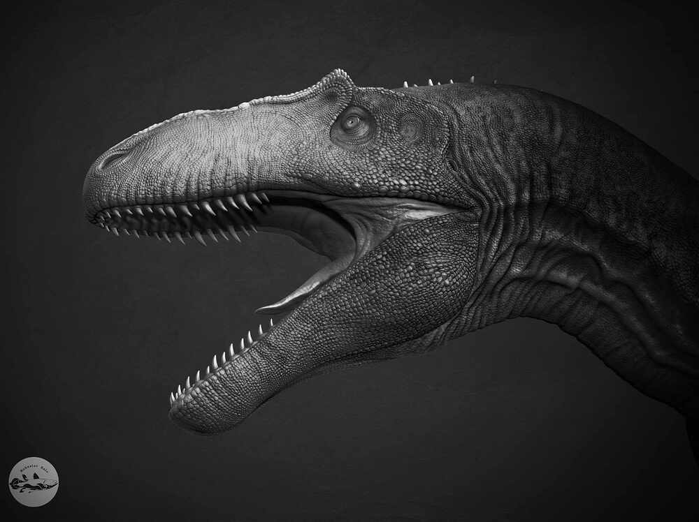 Render_0_007