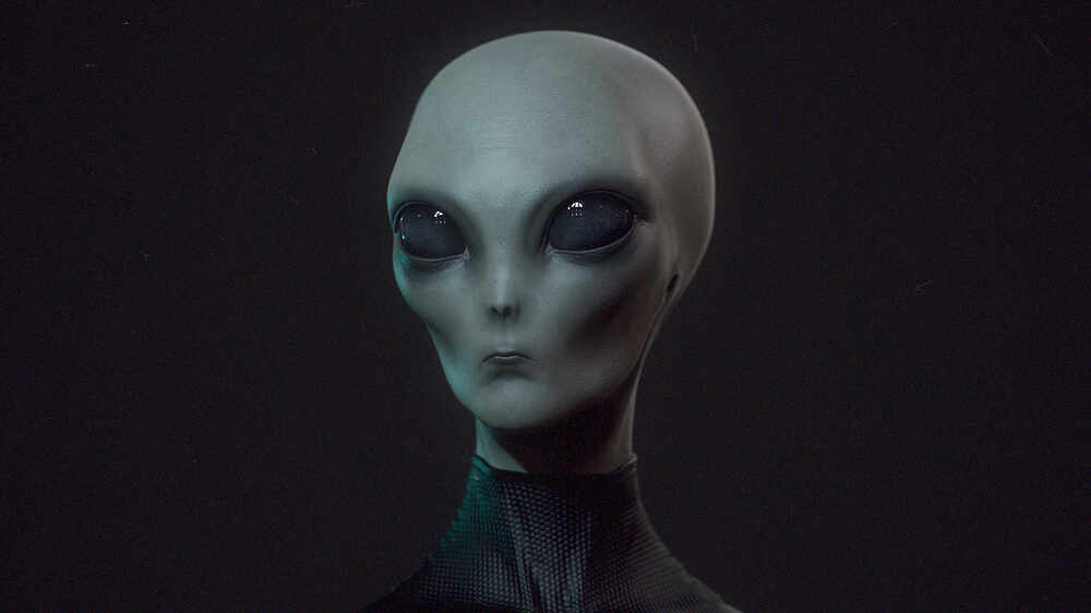 Untitled_Viewport_001 (1)