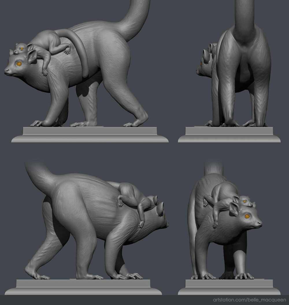 Lemur_8_Belle_Macqueen