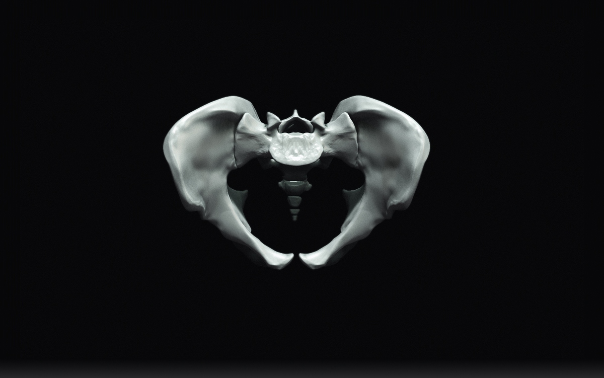 Pelvis5