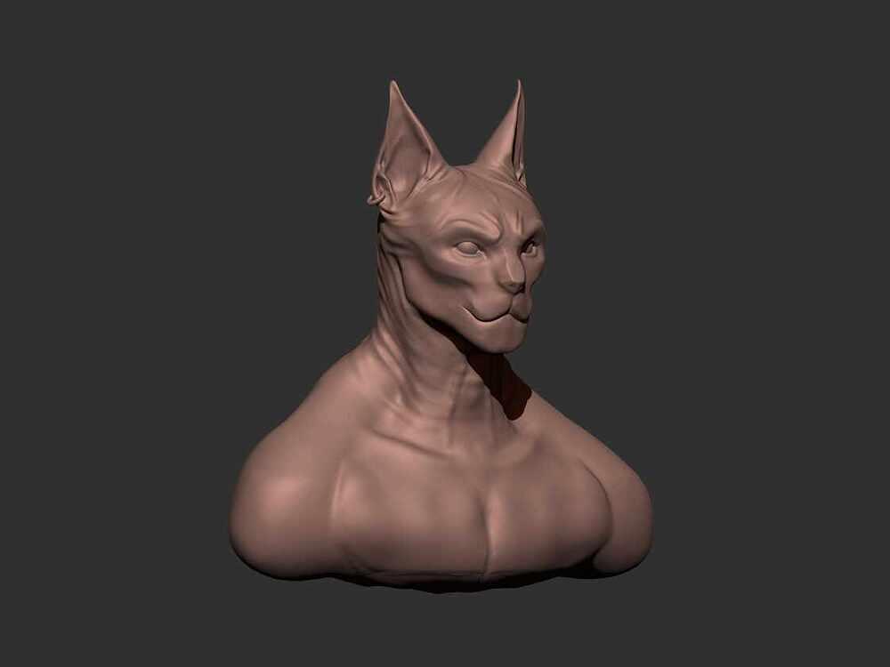 right cat