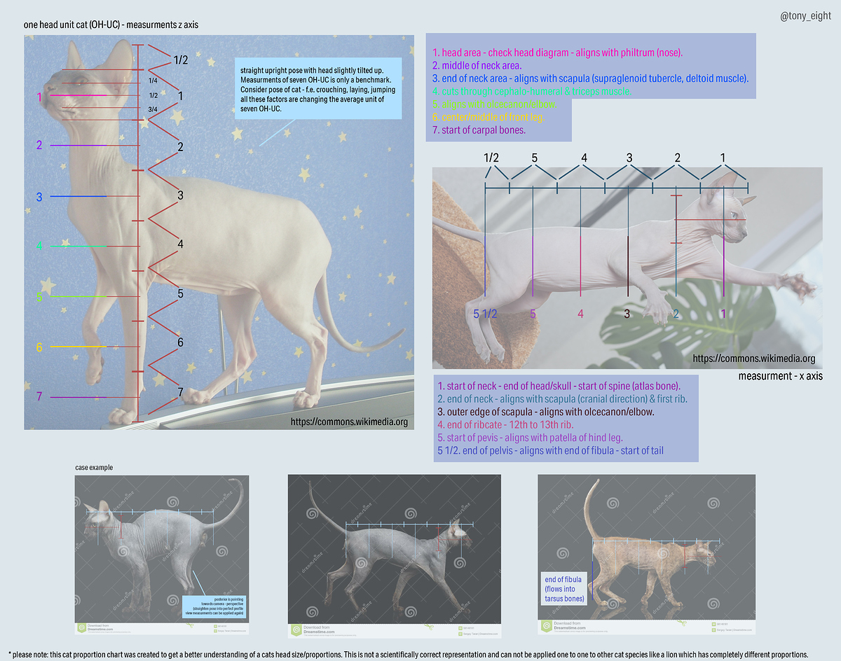 sphinx_measurment_chart_03