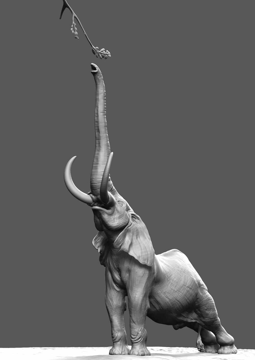 Elephant_Speed_Sculpt_1B