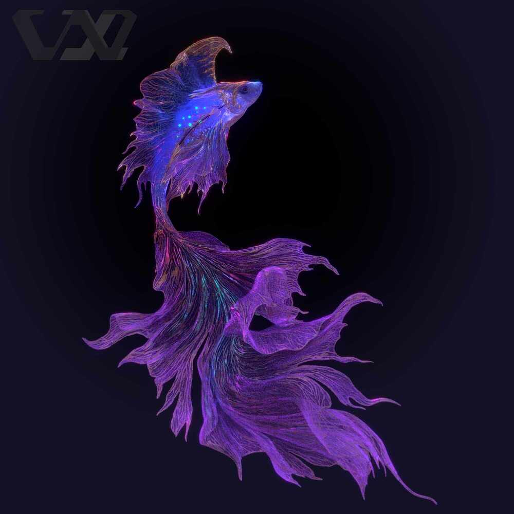 DD6B3660-A15B-40B1-9C15-2BE6D71C17F9