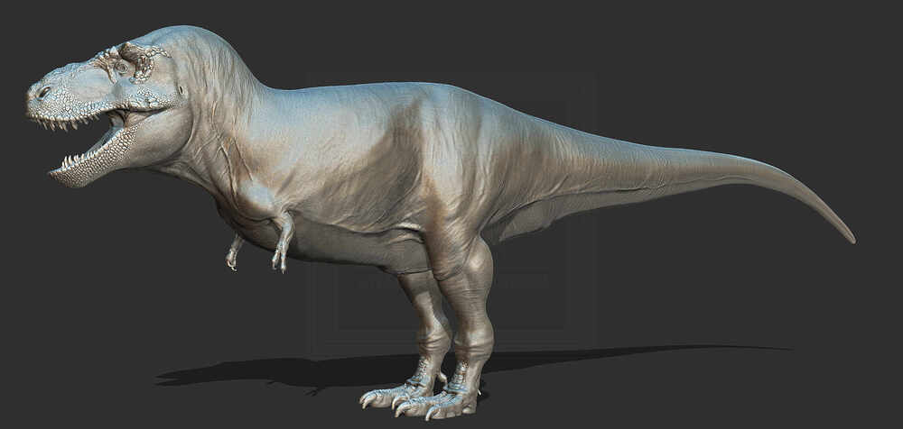 ZBrush Document