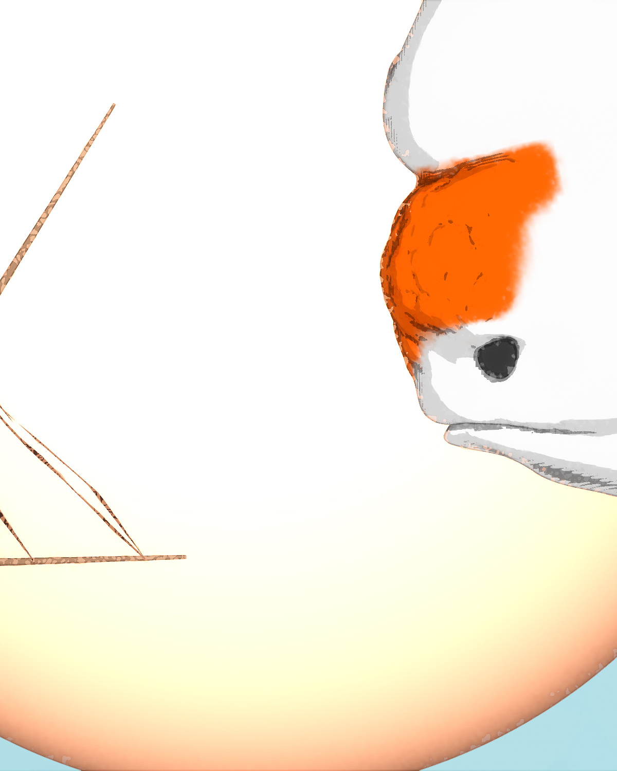 CloseUp.jpg